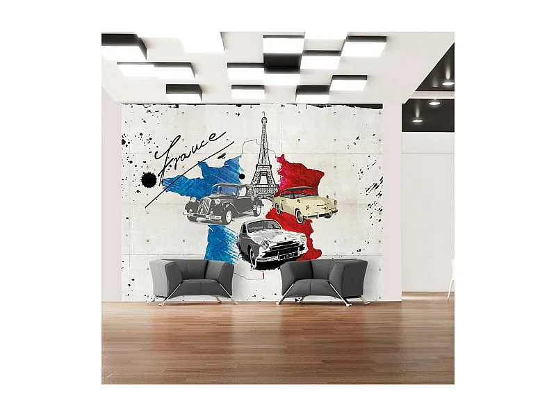 Papier Peint "Admirer of Cars France" 231 x 300 cm