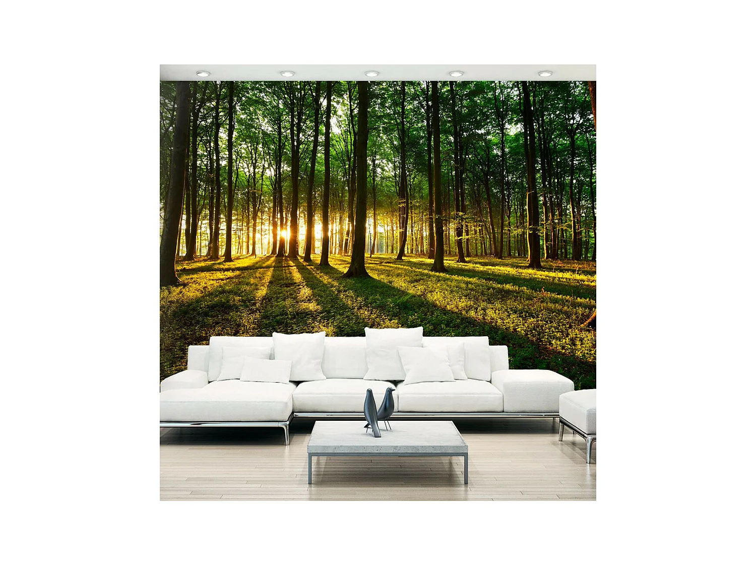 Papier Peint "Mystical Morning" 70 x 100 cm