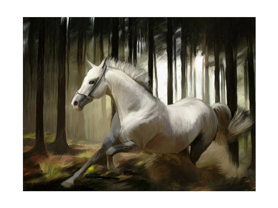 Papier Peint "La Course du Cheval Blanc" 231 x 300 cm