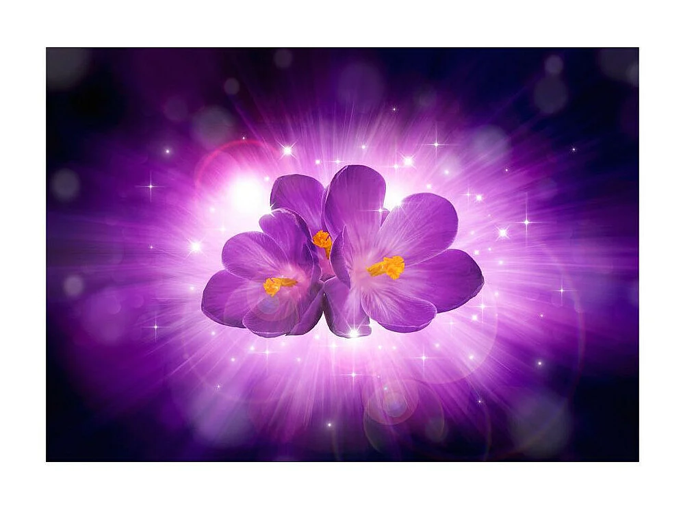 Papier Peint "Breath of Spring" 245 x 350 cm