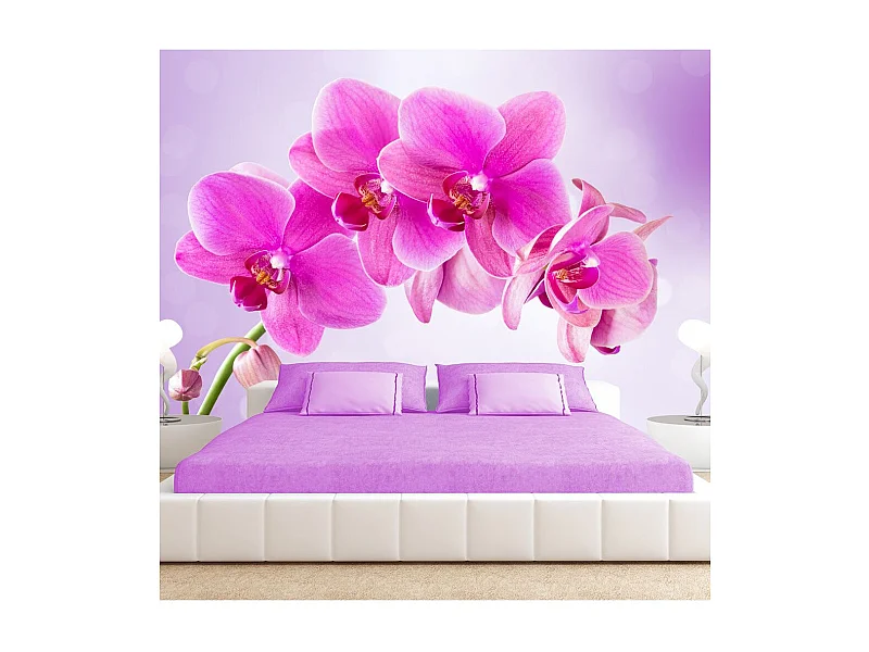 Papier Peint "Thoughtfulness" 70 x 100 cm