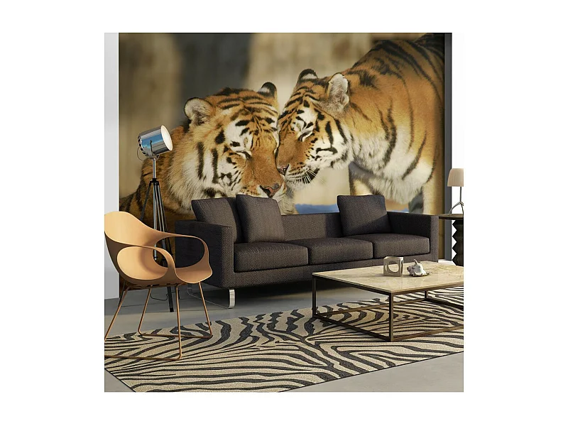 Papier Peint "Tigres : l'amour Inconditionnel" 270 x 350 cm