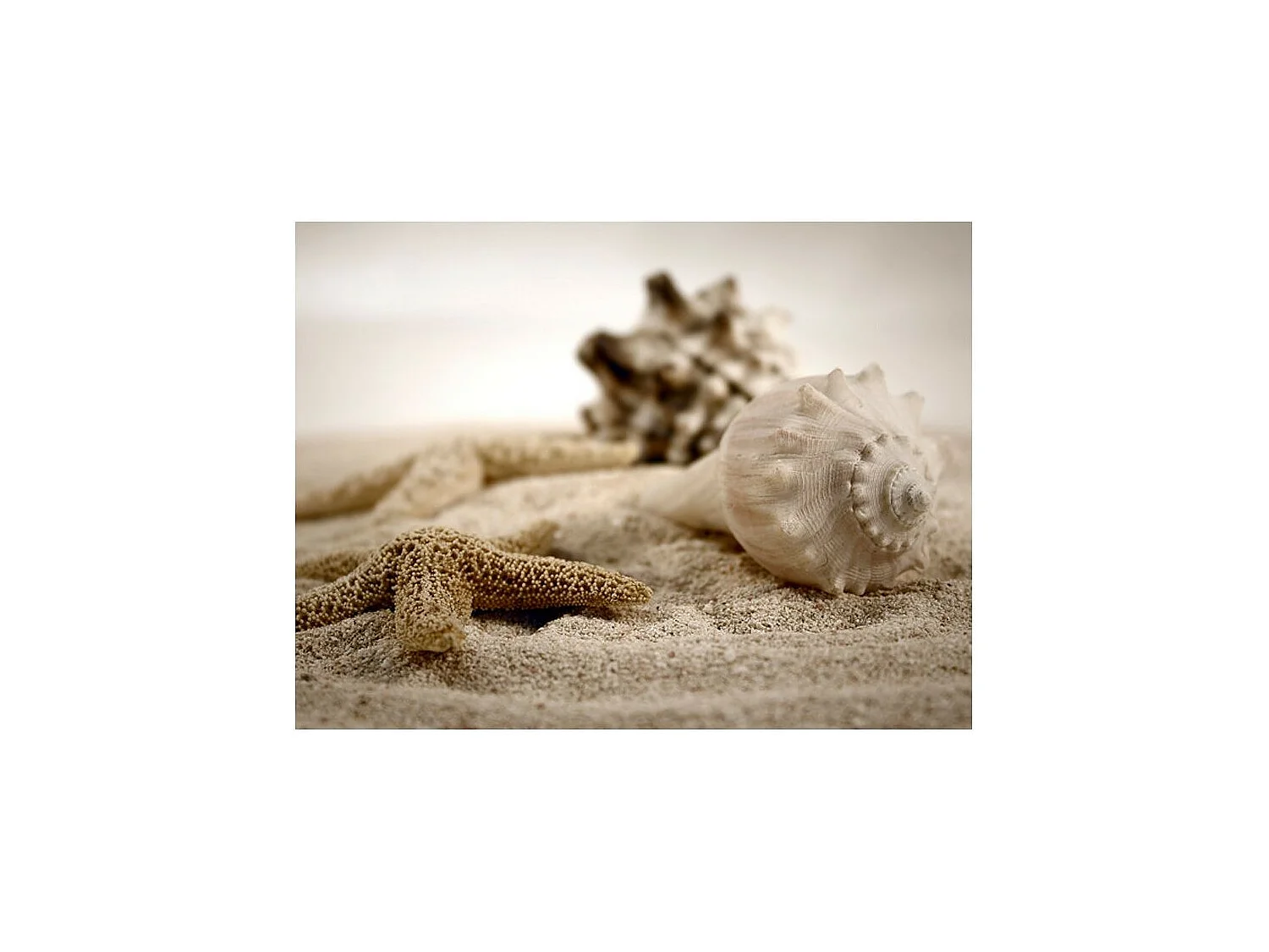 Papier Peint "Plage & Coquillage" 193 x 250 cm