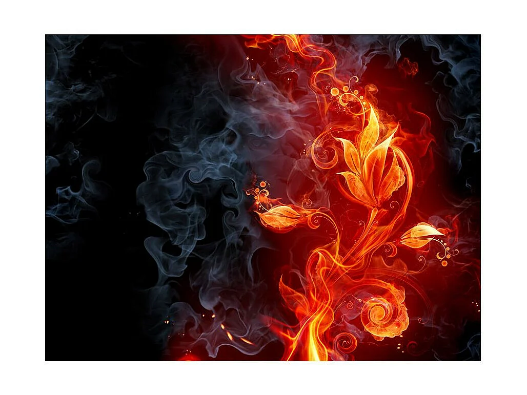 Papier Peint "Fleur Enflammée" 270 x 350 cm