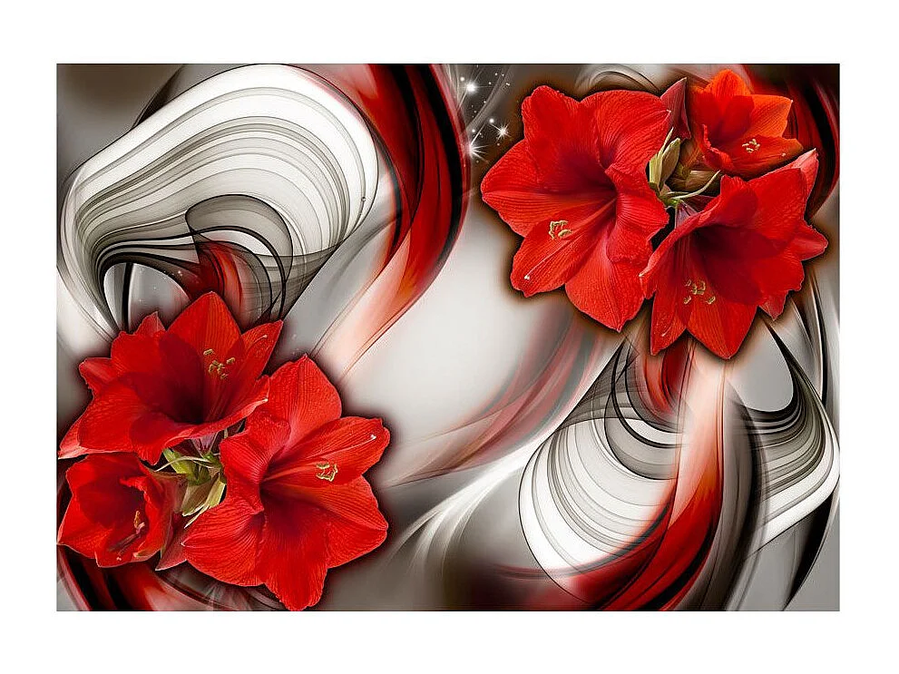 Papier Peint "Amaryllis Ballad of the Red" 70 x 100 cm