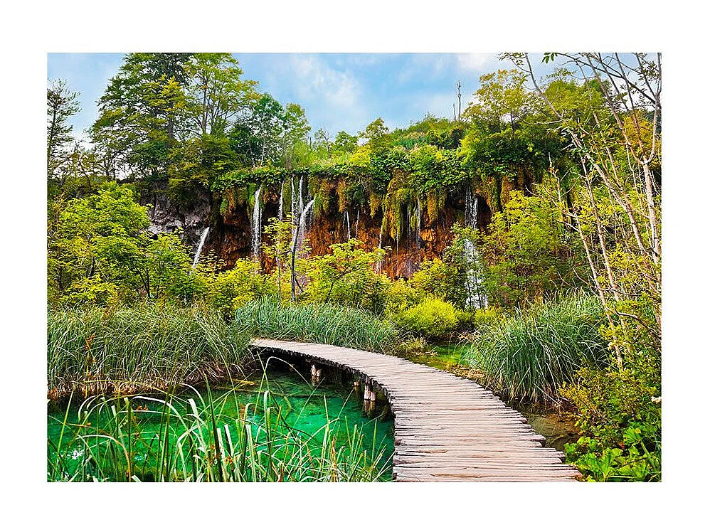 Papier Peint "Green Oasis" 140 x 200 cm