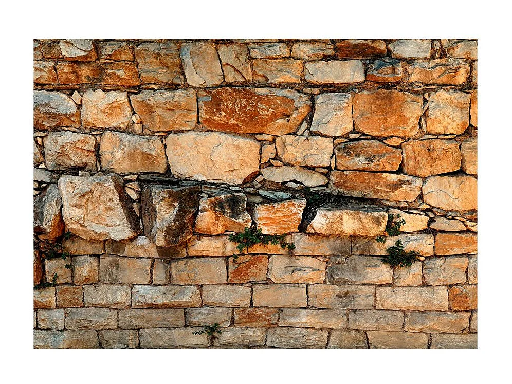 Papier Peint "Prelude of the Day" 210 x 300 cm