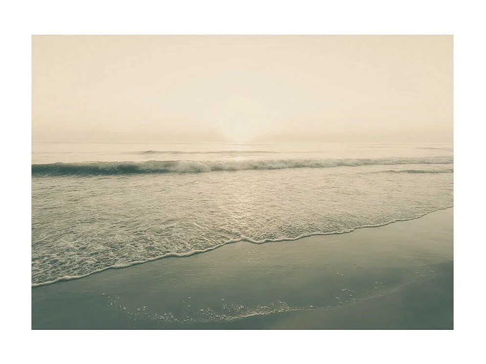 Papier Peint "Morning Kiss" 245 x 350 cm