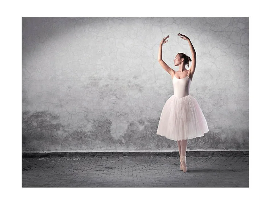 Papier Peint "Danseuse de Ballet Comme Chez Degas" 231 x 300 cm