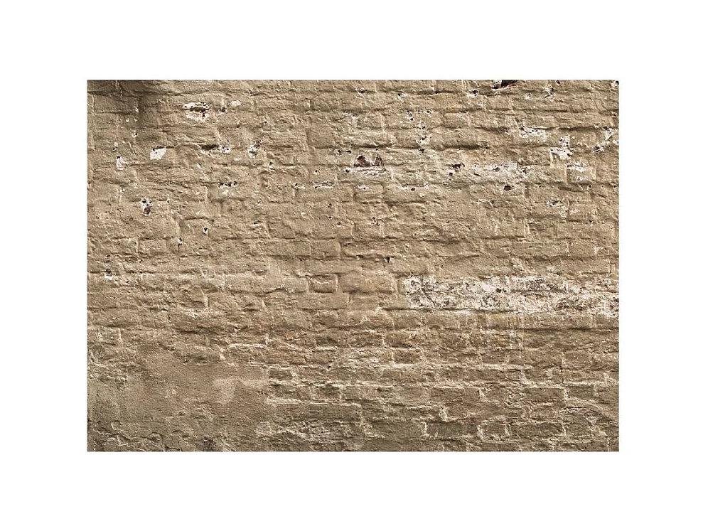 Papier Peint "Urban Oasis" 280 x 400 cm