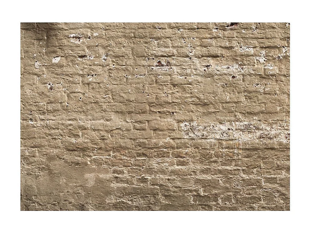 Papier Peint "Urban Oasis" 280 x 400 cm