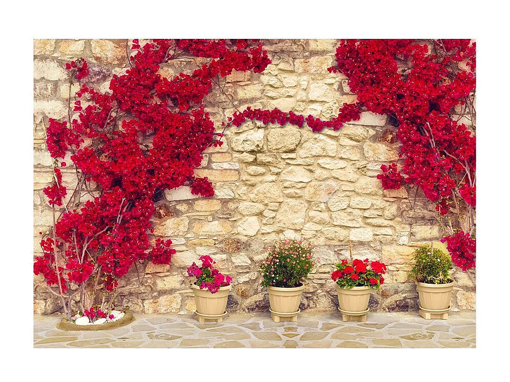 Papier Peint "Warm Afternoon" 140 x 200 cm