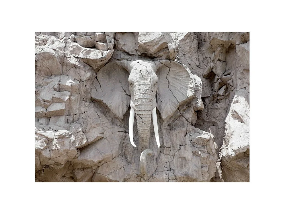 Papier Peint "The Bridge of Time South Africa" 245 x 350 cm