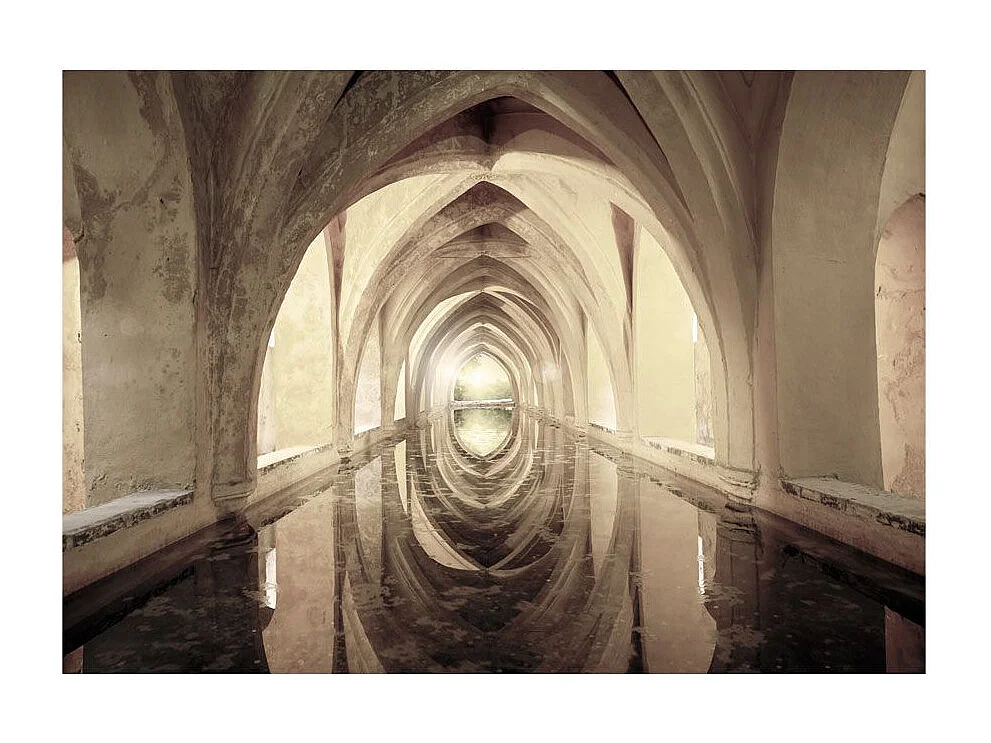 Papier Peint "Magical Corridor" 245 x 350 cm