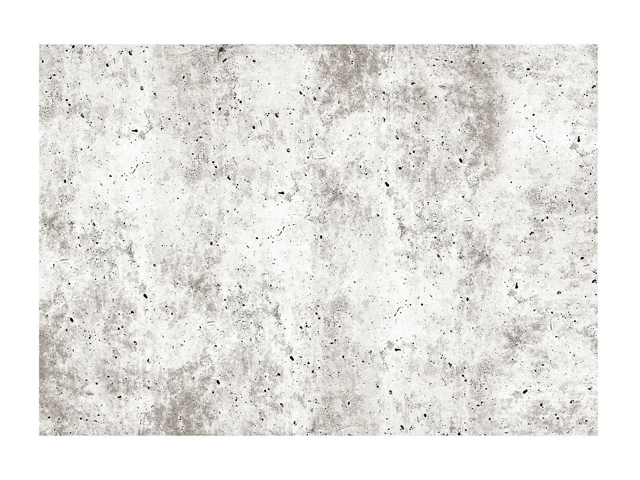 Papier Peint "Urban Style : Concrete" 245 x 350 cm