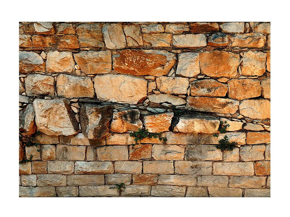 Papier Peint "Prelude of the Day" 175 x 250 cm