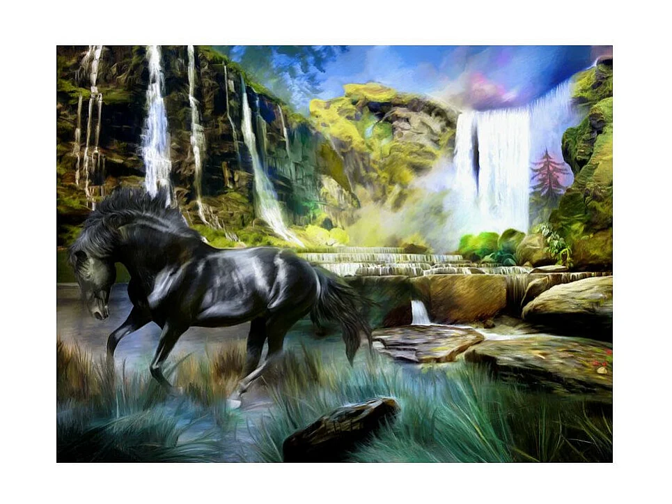 Papier Peint "Étalon Noir & Cascade" 231 x 300 cm