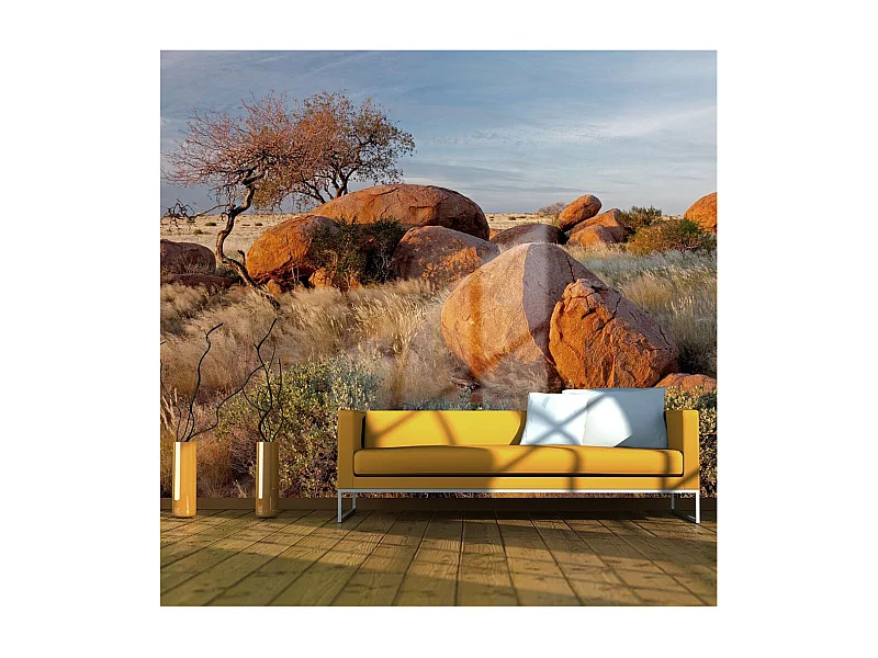 Papier Peint "Paysage Africain, Namibie" 193 x 250 cm