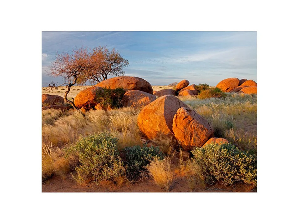 Papier Peint "Paysage Africain, Namibie" 193 x 250 cm