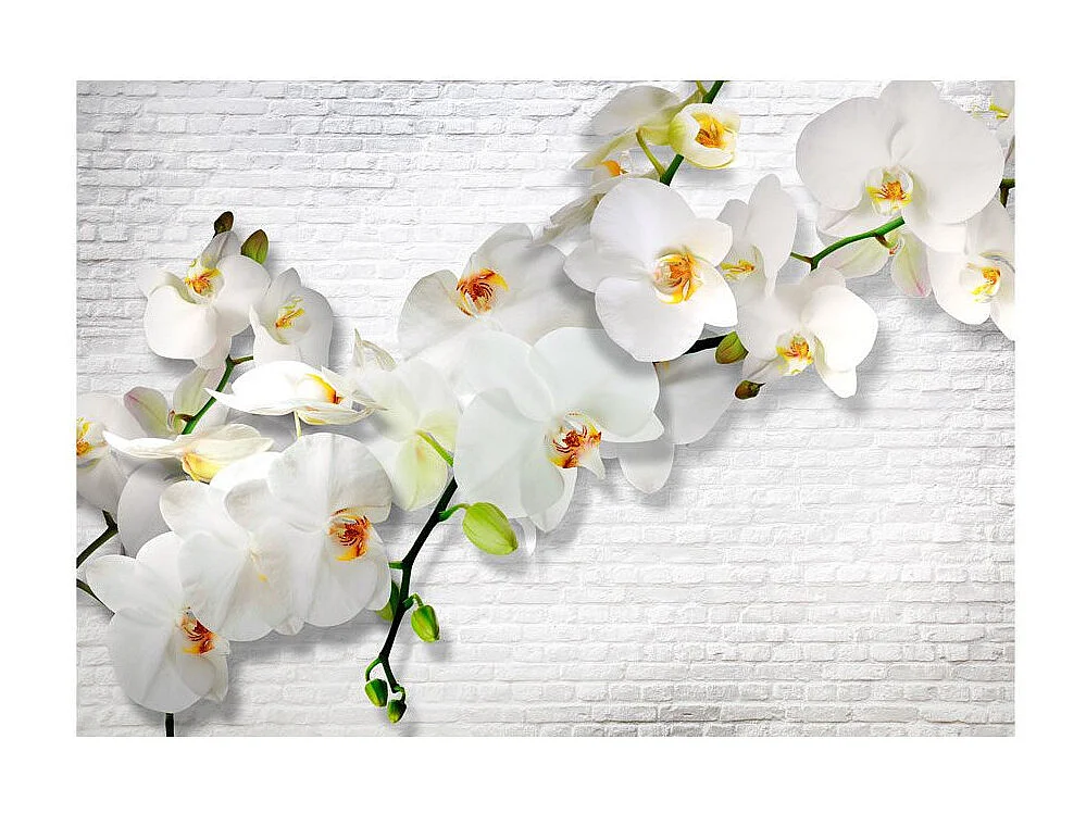 Papier Peint "The Urban Orchid" 210 x 300 cm