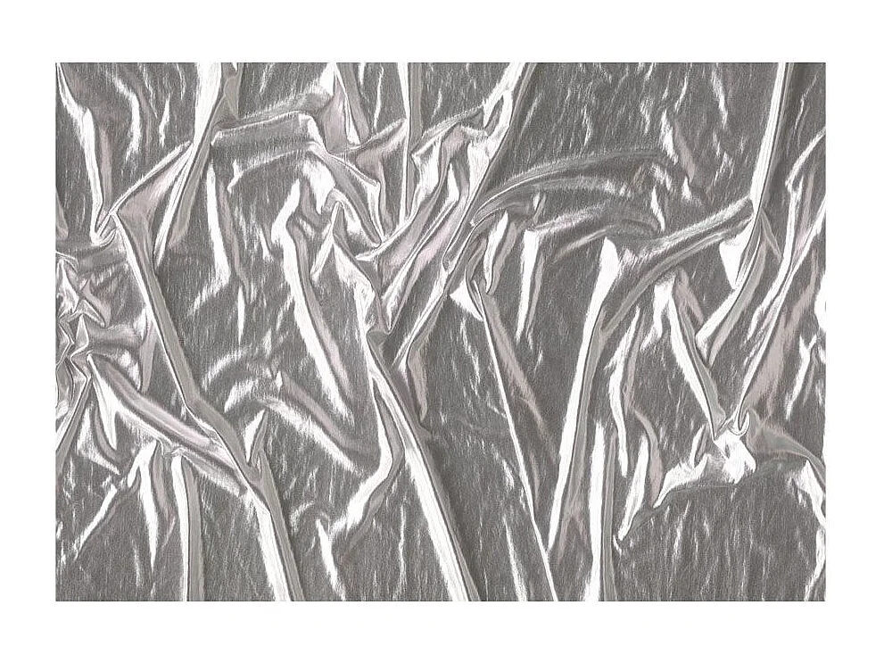Papier Peint "Noble Silver" 245 x 350 cm