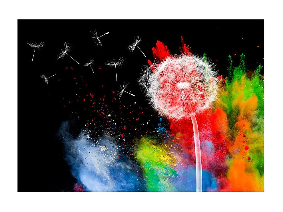 Papier Peint "Colourful Element" 105 x 150 cm