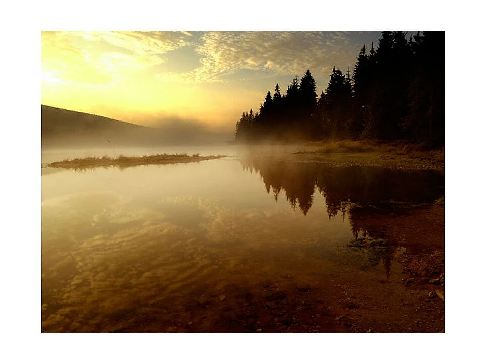 Papier Peint "Forêt & Lac" 193 x 250 cm