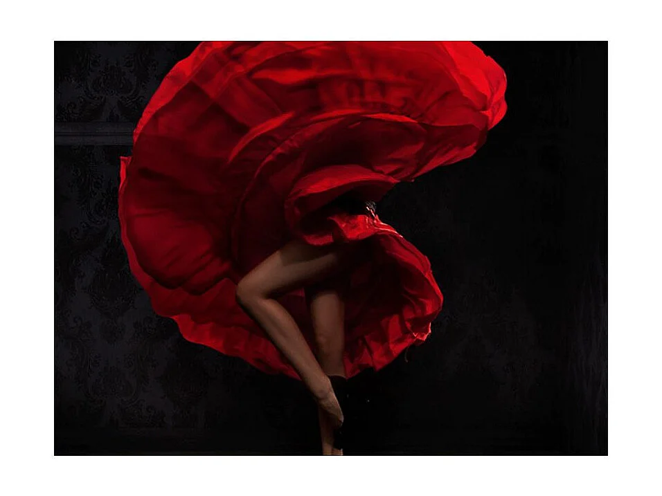 Papier Peint "Danseuse de Flamenco" 231 x 300 cm
