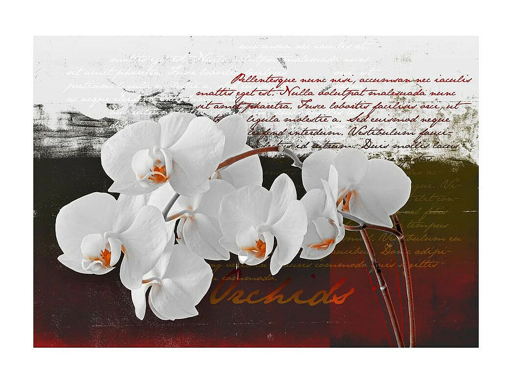 Papier Peint "Diary & Orchid" 210 x 300 cm