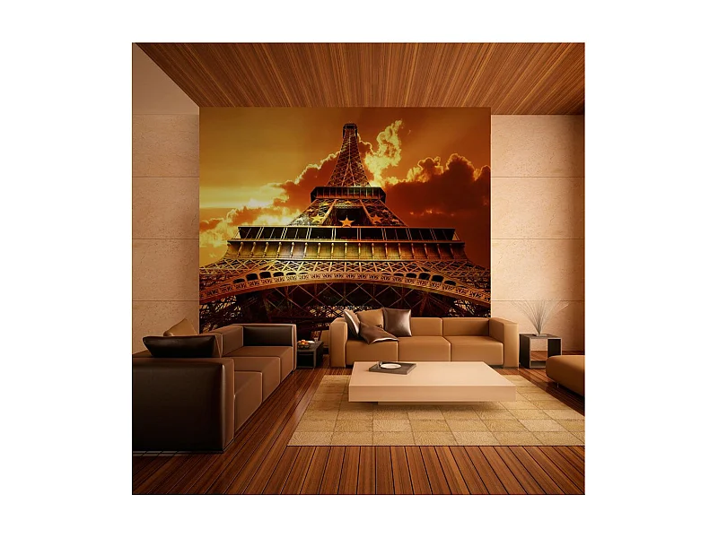 Papier Peint "Symbole de Paris" 231 x 300 cm