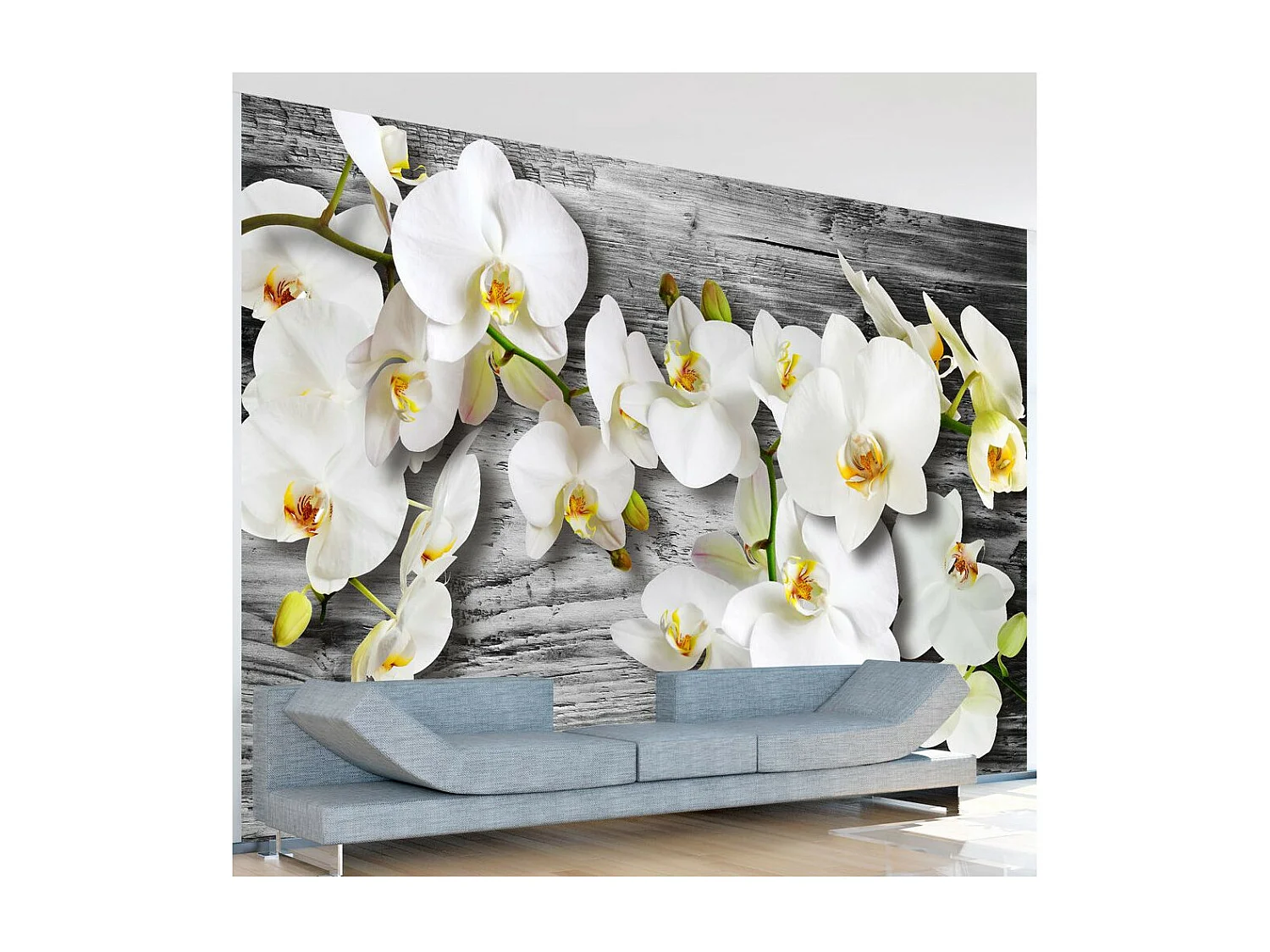 Papier Peint "Callous Orchids III" 245 x 350 cm