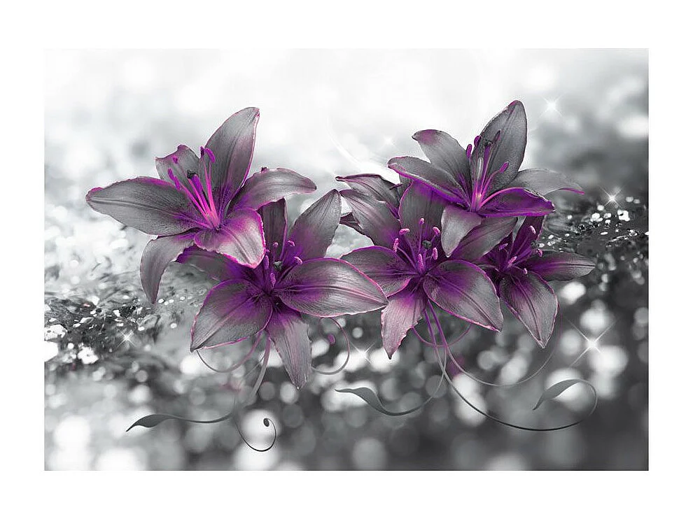 Papier Peint "Secret of the Lily" 105 x 150 cm