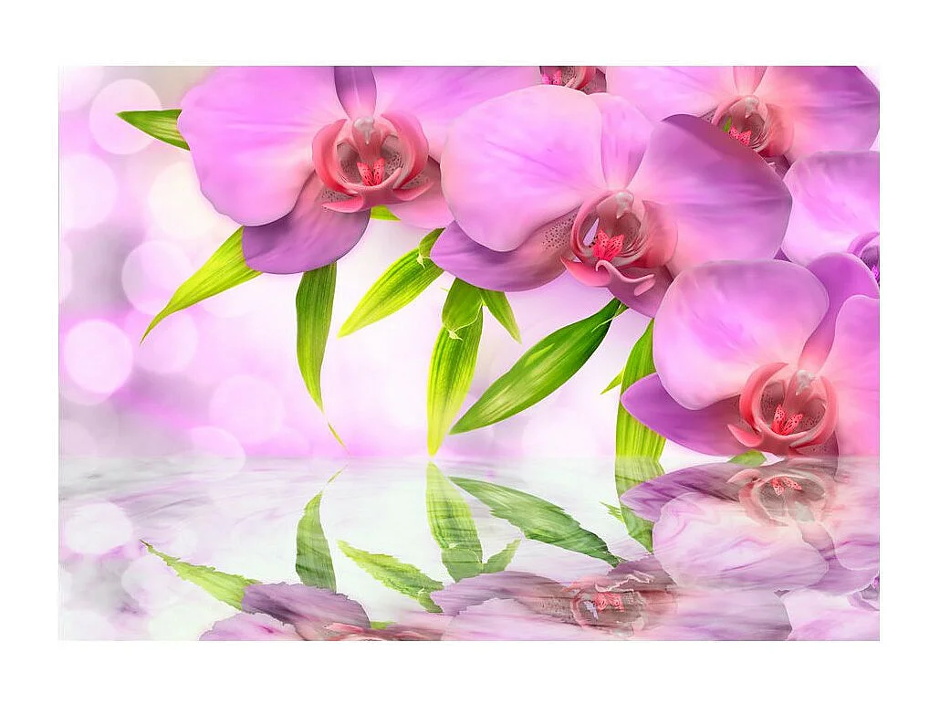Papier Peint "Orchids in Lilac Colour" 70 x 100 cm