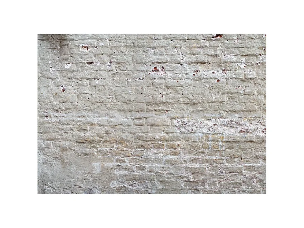 Papier Peint "Hidden Harmony" 175 x 250 cm