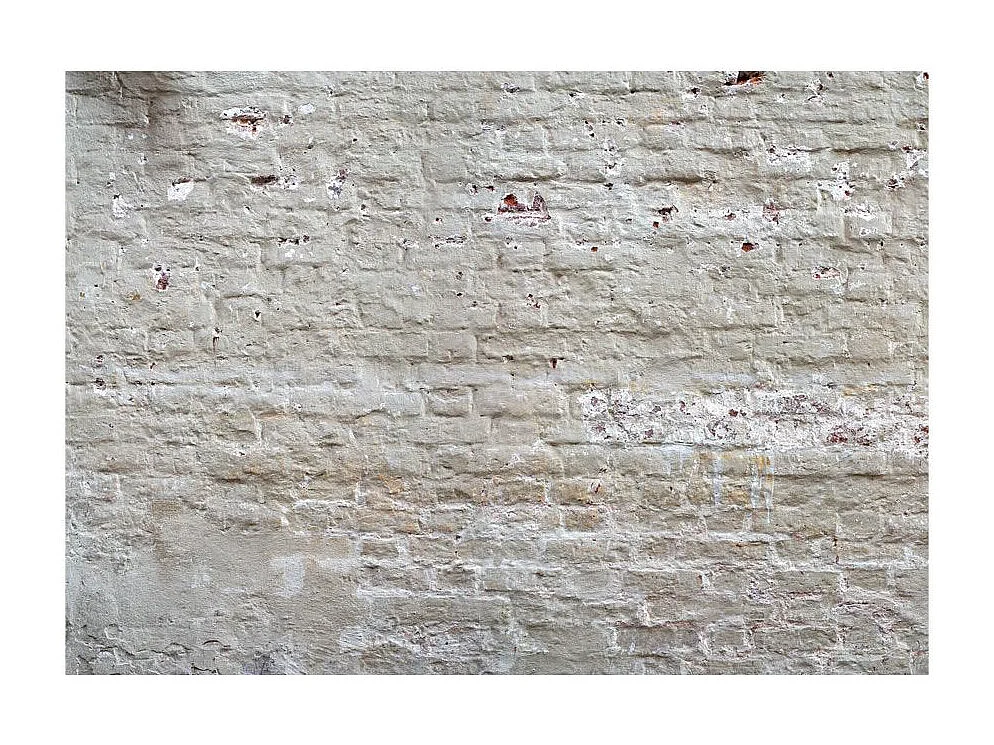 Papier Peint "Hidden Harmony" 175 x 250 cm