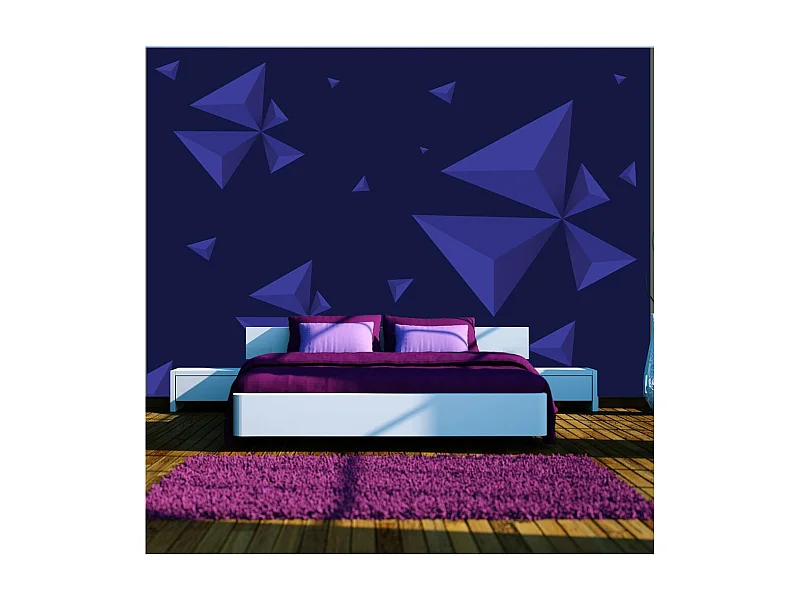 Papier Peint "Meteor Shower" 245 x 350 cm