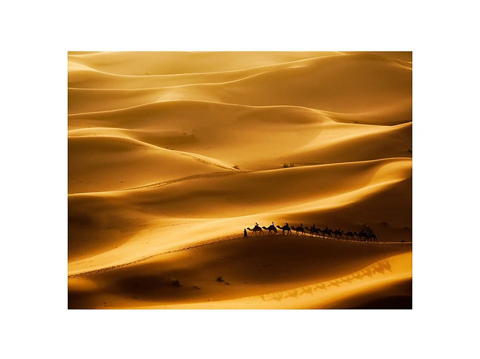 Papier Peint "Caravane de Chameaux" 309 x 400 cm