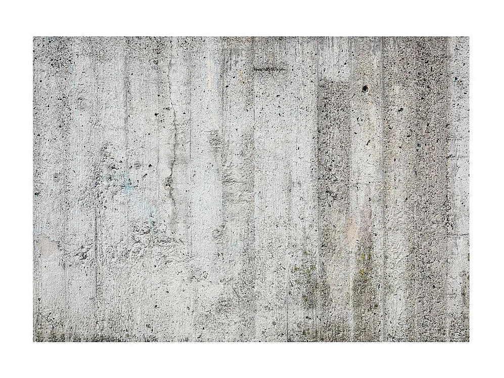 Papier Peint "Grey Emperor" 105 x 150 cm