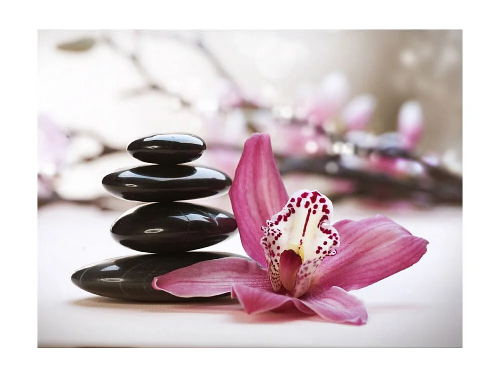 Papier Peint "Relaxation & Wellness" 270 x 350 cm