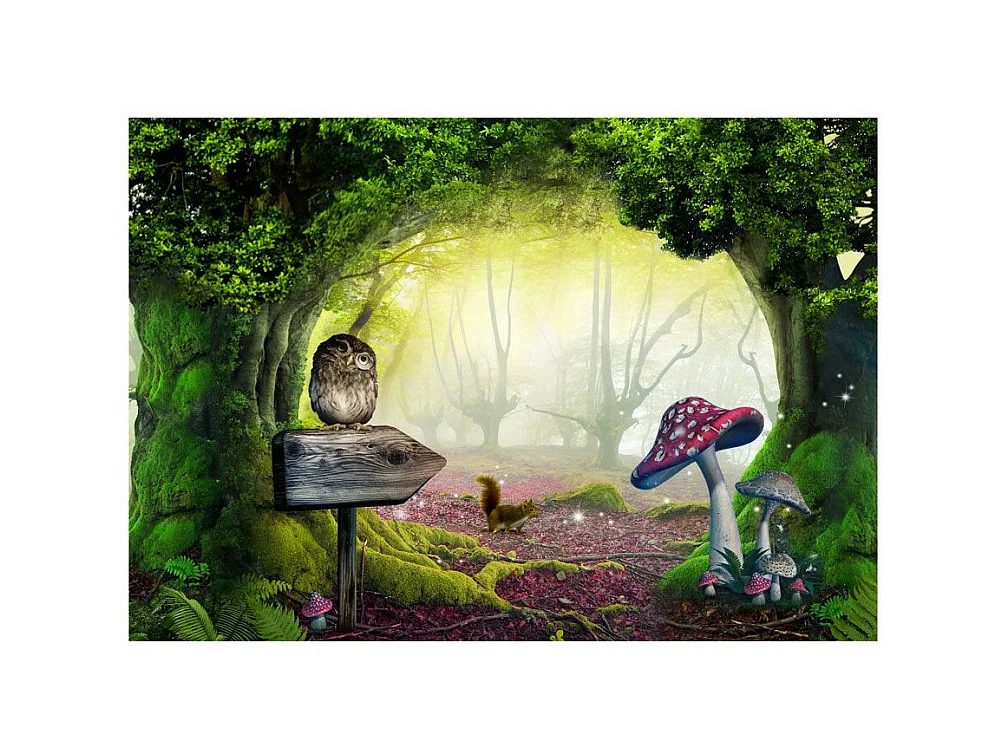 Papier Peint "Owlish Corner" 140 x 200 cm