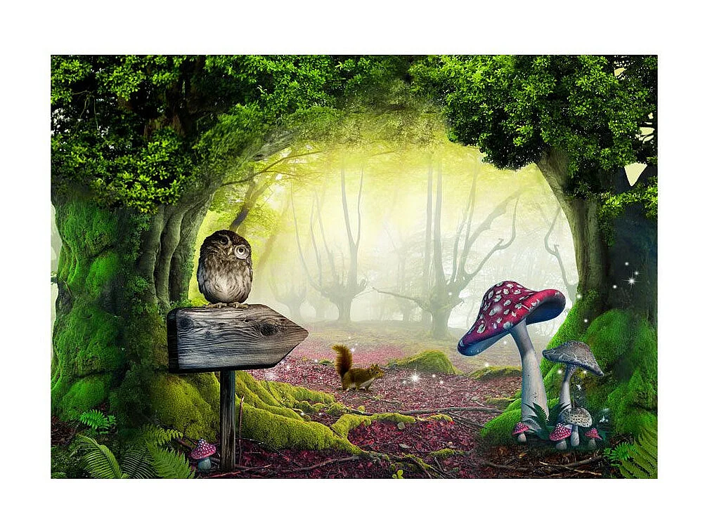 Papier Peint "Owlish Corner" 140 x 200 cm