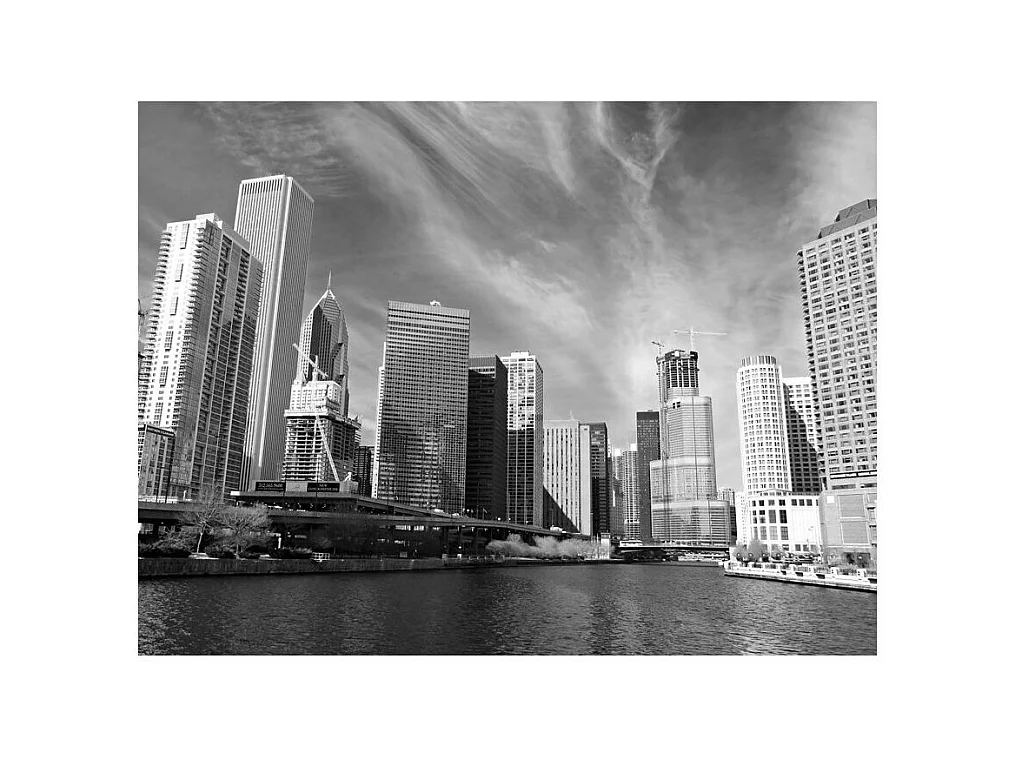 Papier Peint "Panorama de Chicago Noir & Blanc" 231 x 300 cm