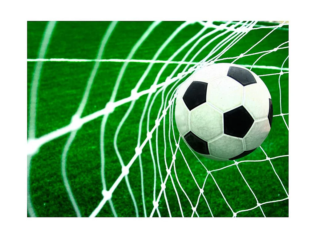 Papier Peint "Goal !" 193 x 250 cm