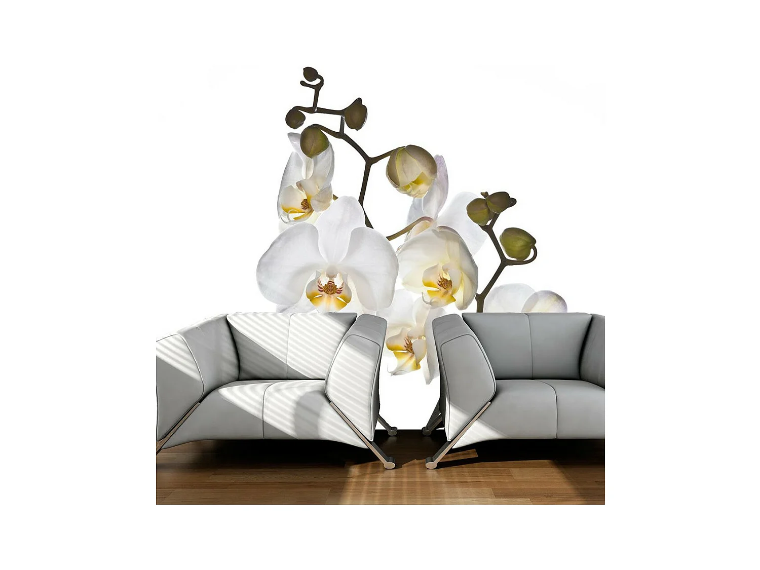 Papier Peint "Shyness" 270 x 350 cm