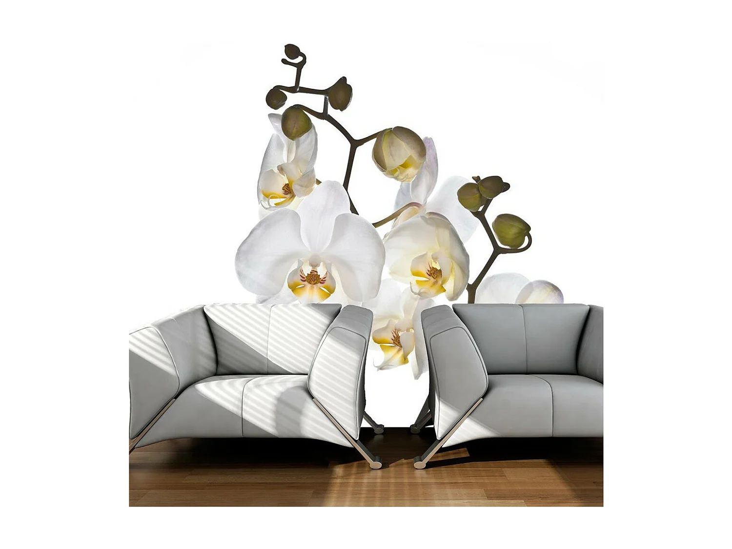 Papier Peint "Shyness" 270 x 350 cm