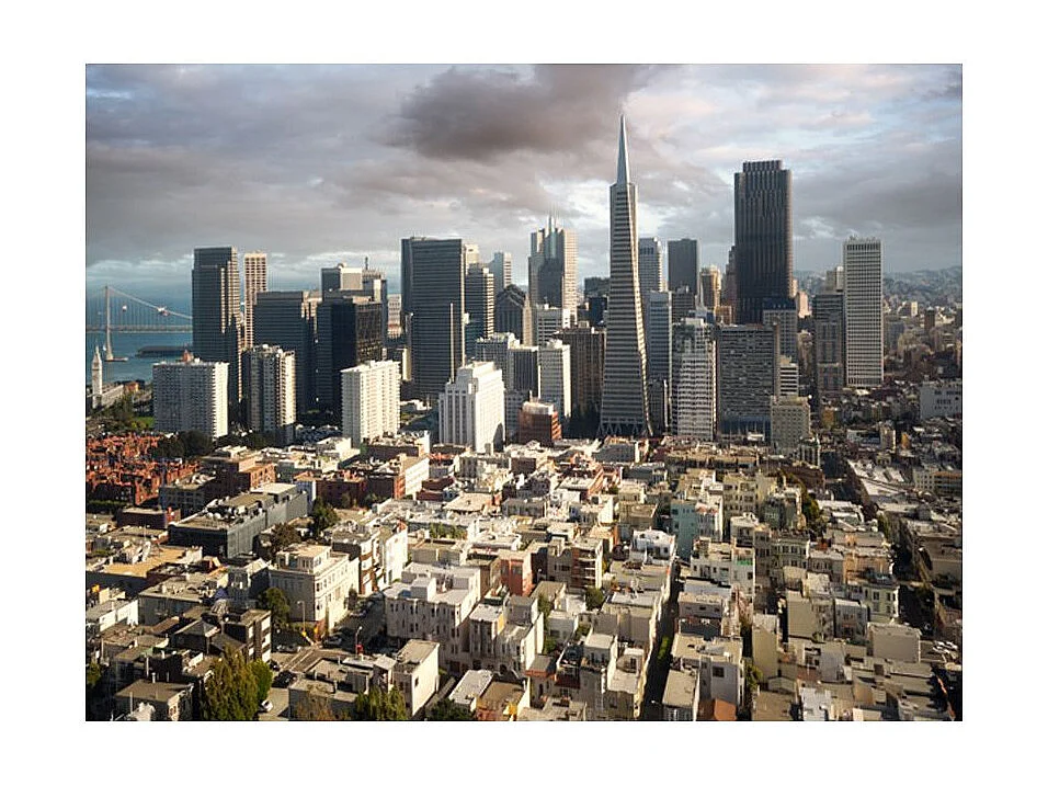 Papier Peint "Arbres : Tunnel D'automne" 231 x 300 cm