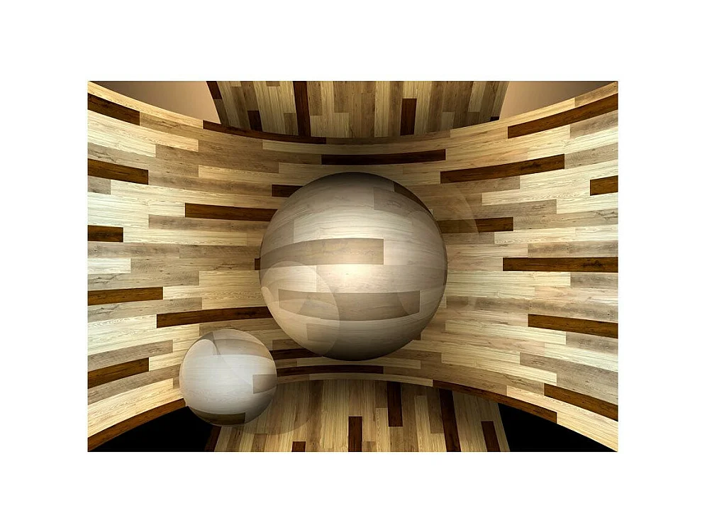 Papier Peint "Orbite de Bois" 210 x 300 cm