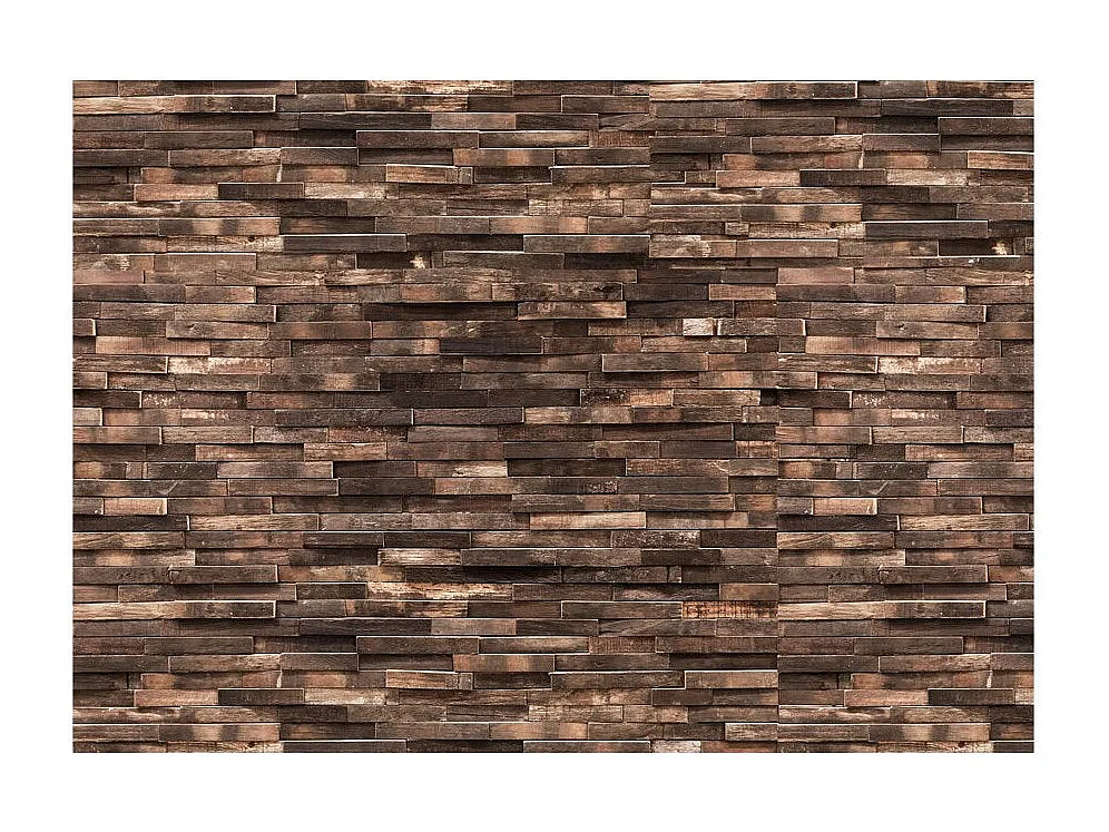 Papier Peint "Forest Home" 105 x 150 cm