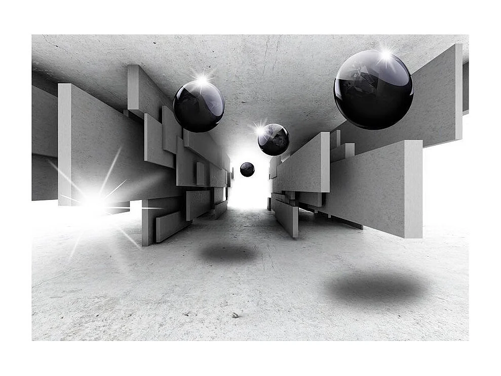 Papier Peint "Border Control" 245 x 350 cm