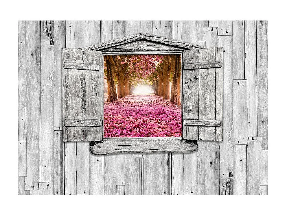 Papier Peint "Porte Magique" 175 x 250 cm